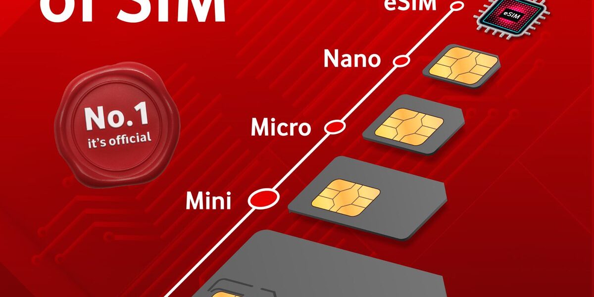 dual sim