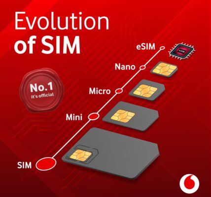 dual sim