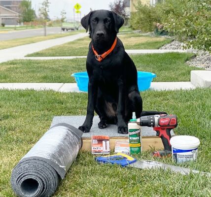 training dogs with tech