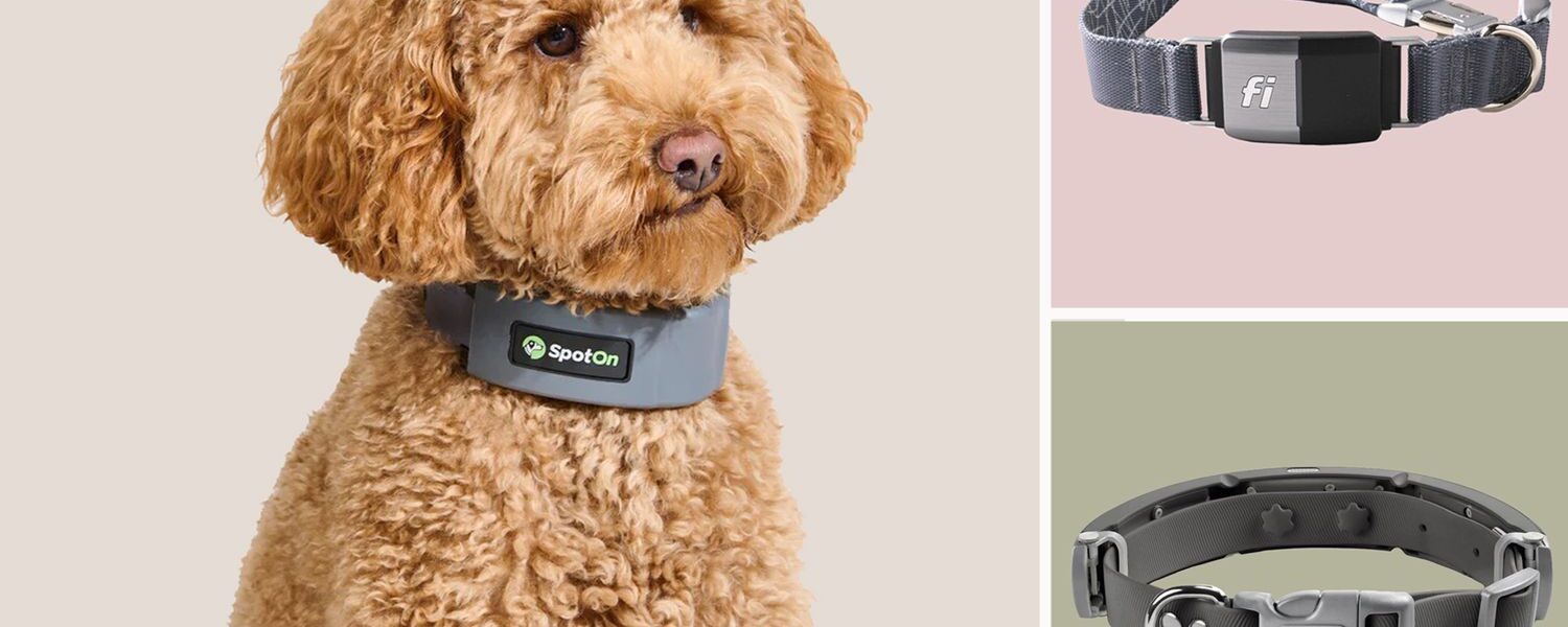 smart collars