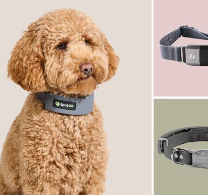 smart collars
