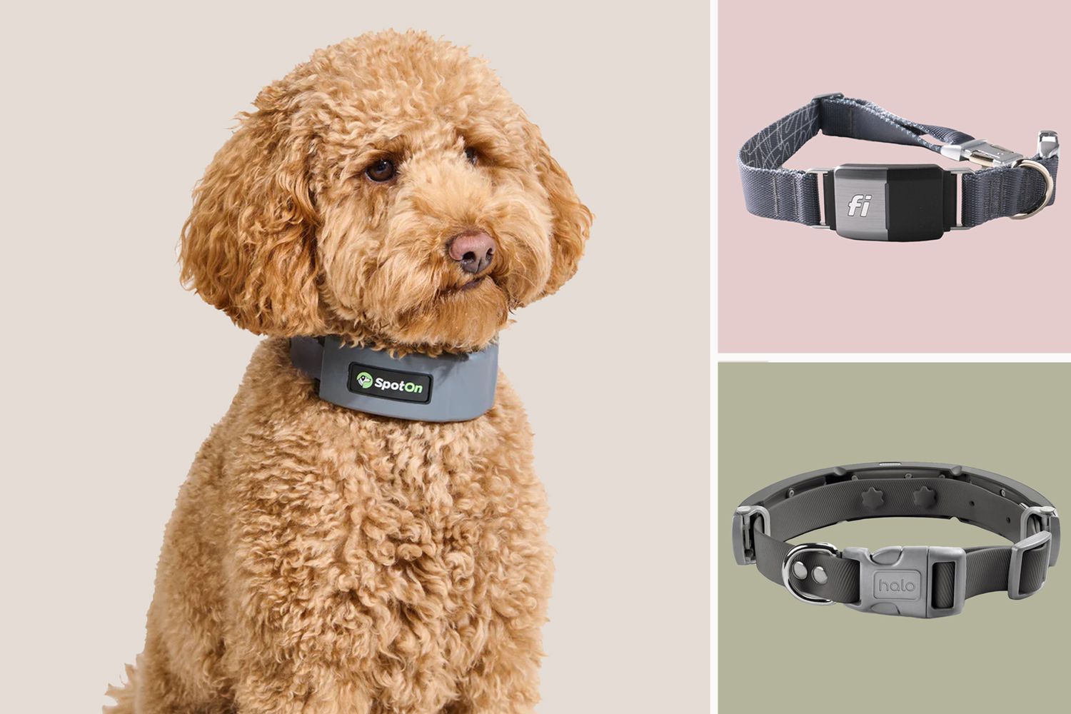 smart collars